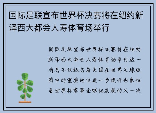 国际足联宣布世界杯决赛将在纽约新泽西大都会人寿体育场举行